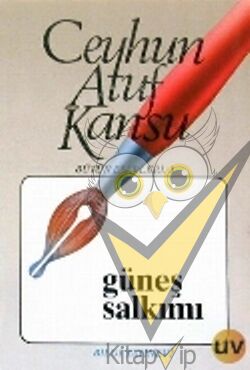 Güneş Salkımı Bütün Eserleri 1