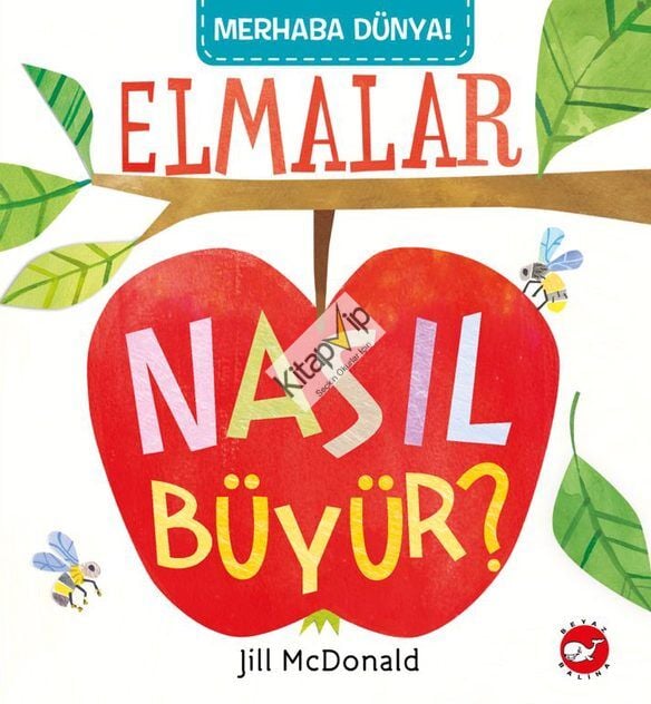 Merhaba Dünya!  Elmalar Nasıl Büyür?