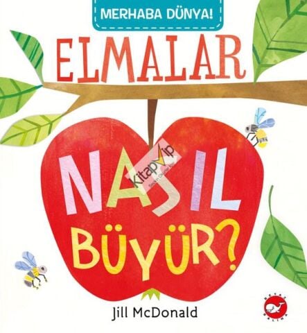 Merhaba Dünya!  Elmalar Nasıl Büyür?
