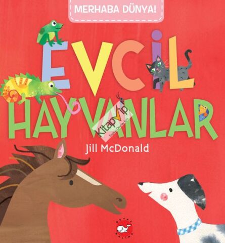 Merhaba Dünya! Evcil  Hayvanlar