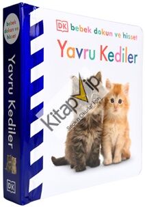 Bebek Dokun Ve Hisset Serisi - Yavru Kediler (Ciltli)