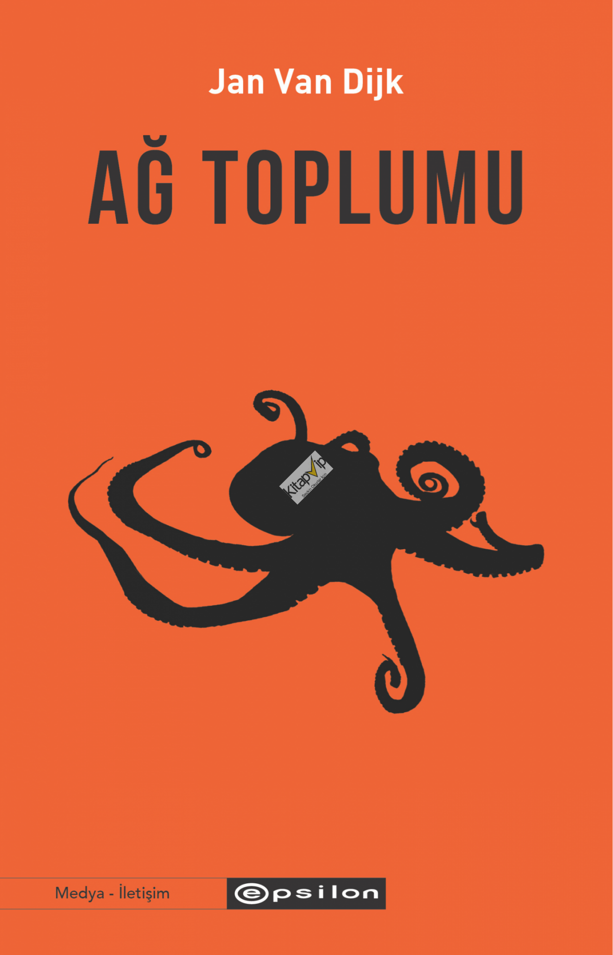 Ağ Toplumu