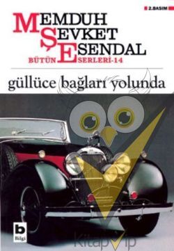 Güllüce Bağları Yolunda