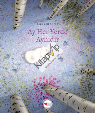 Ay Her Yerde Aynıdır