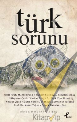Türk Sorunu