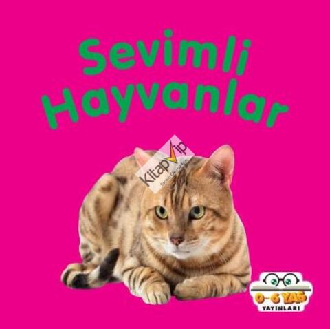 Sevimli Hayvanlar - Mini Karton Kitaplar