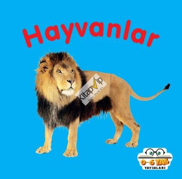 Hayvanlar - Mini Karton Kitaplar