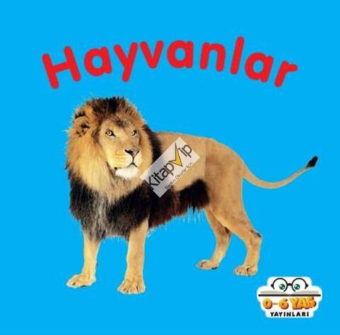 Hayvanlar - Mini Karton Kitaplar