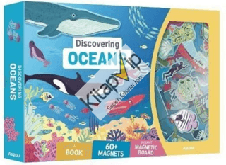 Magnetic Box Sets: Ocean