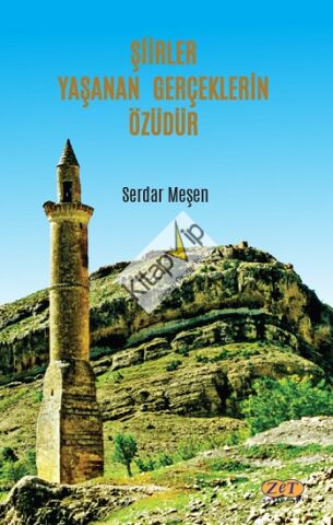 Şiirler Yaşanan Gerçeklerin Özüdür