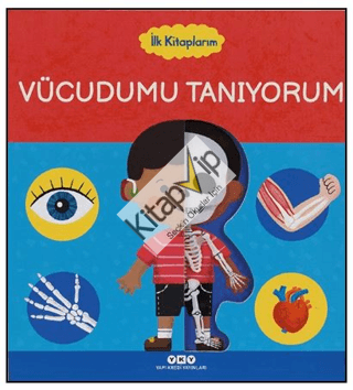 İlk Kitaplarım – Vücudumu Tanıyorum (Ciltli)