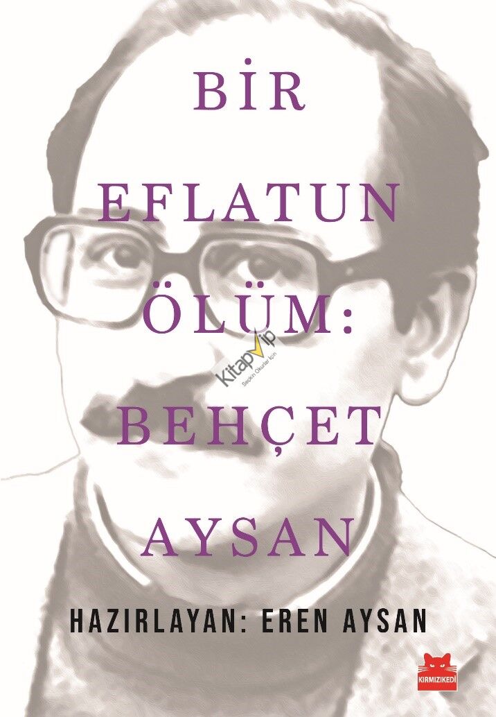Bir Eflatun Ölüm: Behçet Aysan