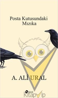 Posta Kutusundaki Mızıka