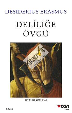 Deliliğe Övgü