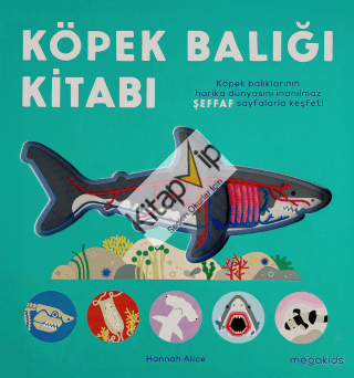 Köpek Balığı Kitabı (Ciltli)