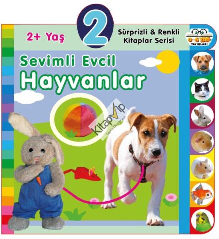 Yaş Sevimli Evcil Hayvanlar (2+Yaş)