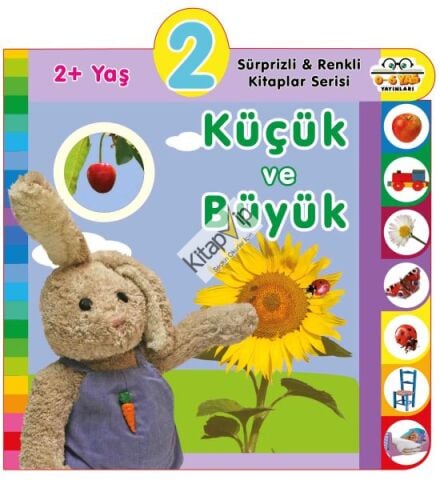 Yaş Küçük ve Büyük (2+Yaş)
