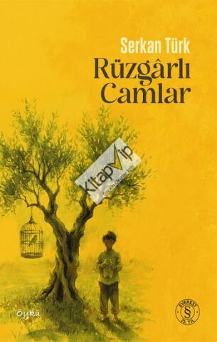 Rüzgarlı  Camlar