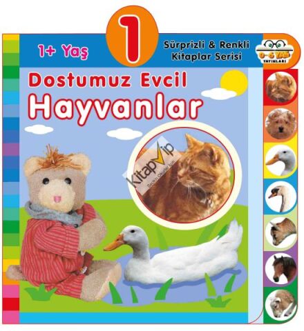 Dostumuz Evcil Hayvanlar (1+Yaş)