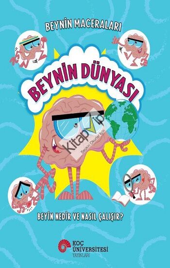 Beyin Maceraları - Beynin Dünyası Beyin Nedir ve Nasıl Çalışır?