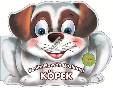 Köpek - Benim Hayvan Dostlarım (Ciltli)