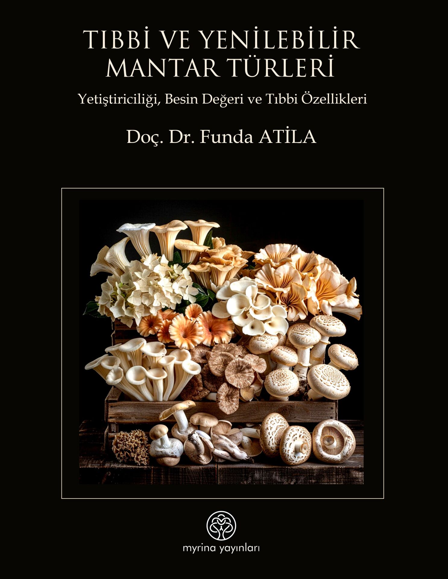 Tıbbi Ve Yenilebilir Mantar Türleri