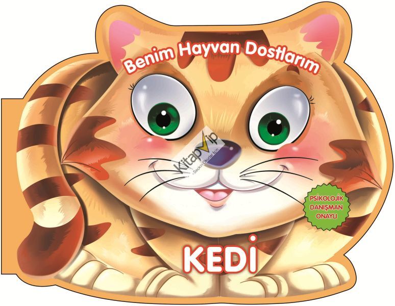 Kedi - Benim Hayvan Dostlarım (Ciltli)