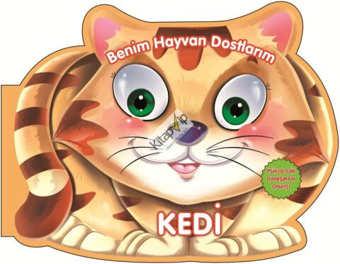 Kedi - Benim Hayvan Dostlarım (Ciltli)