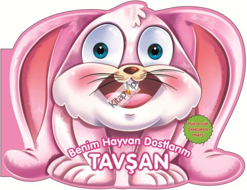 Tavşan - Benim Hayvan Dostlarım (Ciltli)