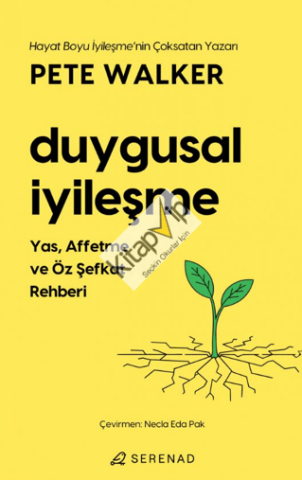 Duygusal İyileşme