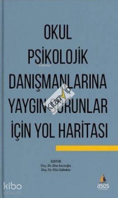 Okul Psikolojik Danışmanlarına Yaygın Sorunlar İçin Yol Haritası