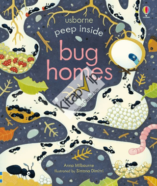 Peep Inside Bug Homes