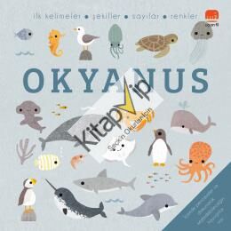 Okyanus - Say Bul Eğlen