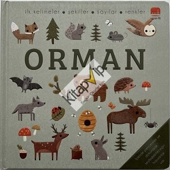 Say Bul Eğlen Orman (Ciltli)