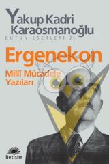 Ergenekon: Milli Mücadele Yazıları