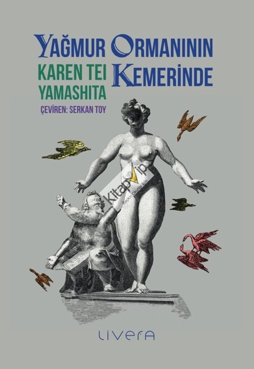 Yağmur Ormanının Kemerinde