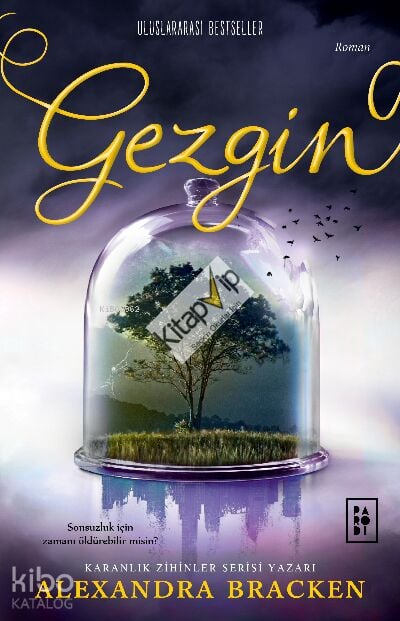 Gezgin (Ciltli) Yolcu Serisi 2. Kitap