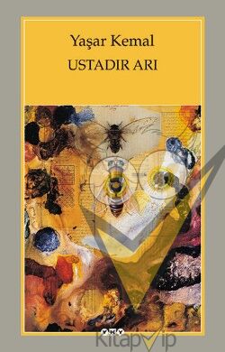 Ustadır Arı