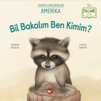 Bil Bakalım Ben Kimim?  Amerika