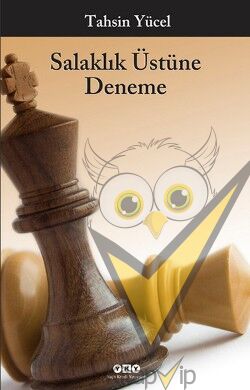 Salaklık Üstüne Deneme