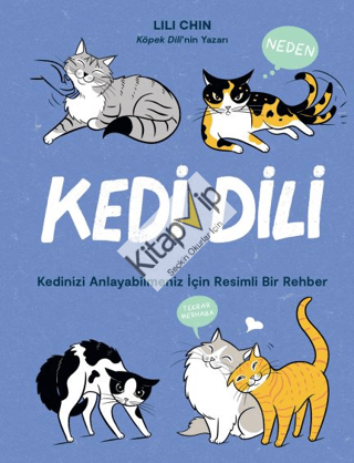 Kedi Dili Kedinizi Anlayabilmeniz için Resimli Bir Rehber