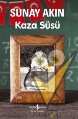 Kaza Süsü