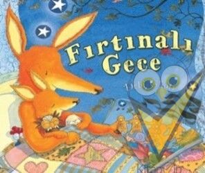 Fırtınalı Gece