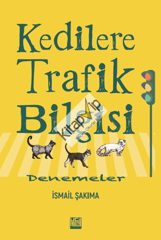 Kedilere Trafik Bilgisi ;Denemeler