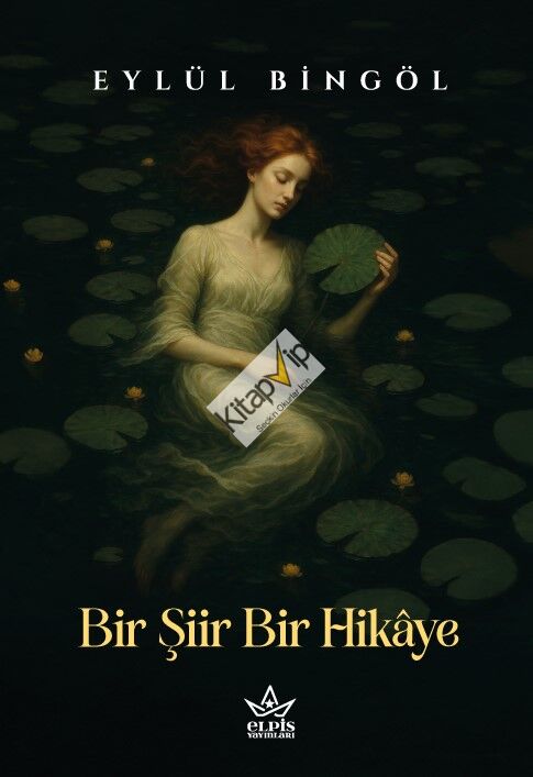 Bir Şiir Bir Hikaye