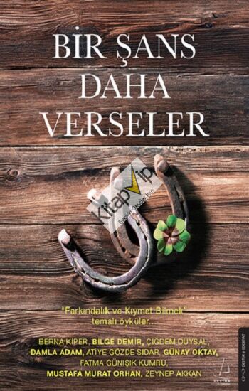 Bir Şans Daha Verseler