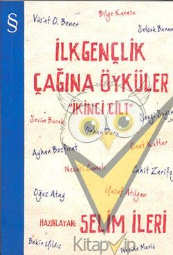 İlk Gençlik Çağına Öyküler  2.Cilt