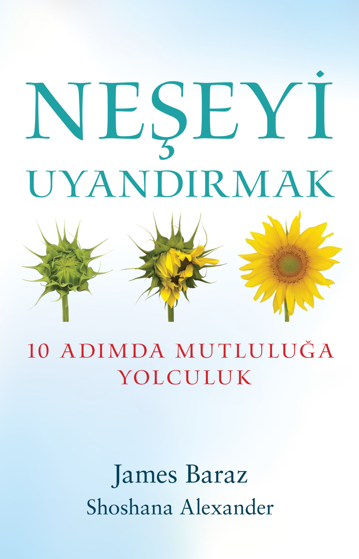 Neşeyi Uyandırmak