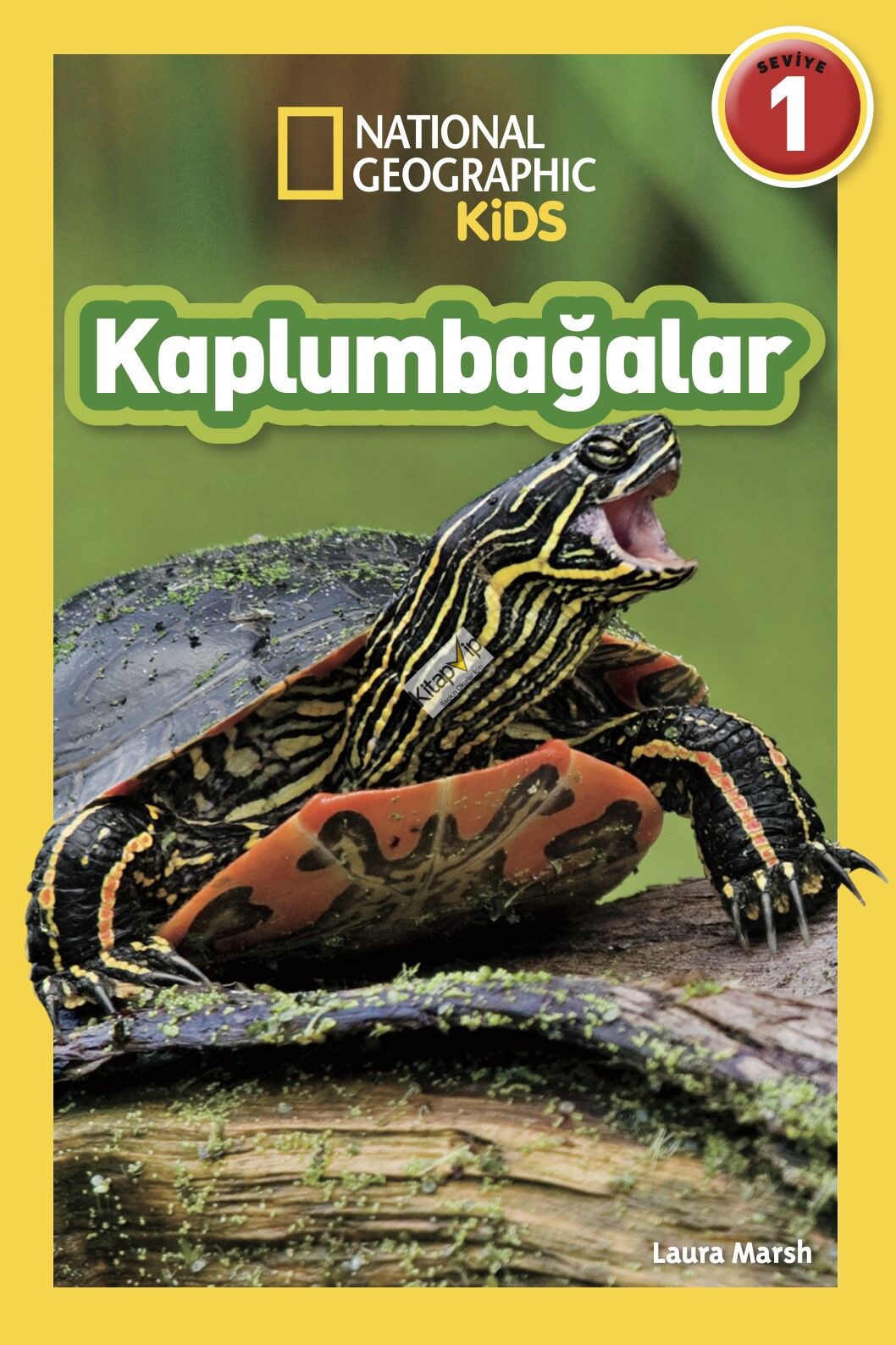 Kaplumbağalar - National Geographic Kids