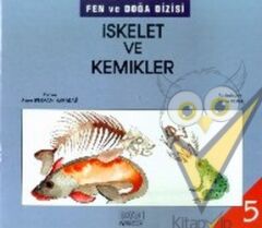 İskelet ve Kemikler